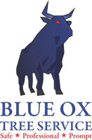 Blue Ox Tree Service