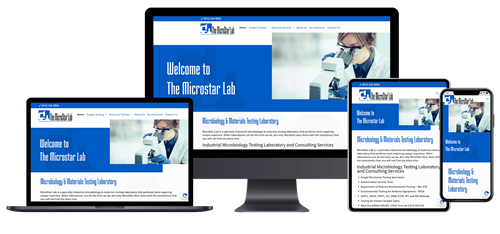 Laboratory Website | Microstar Lab