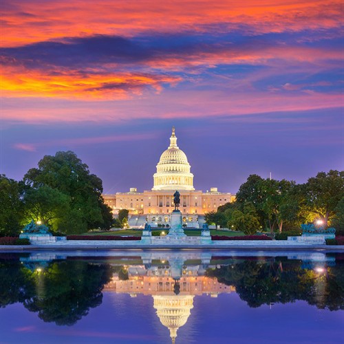 Gallery Image dc.jpg