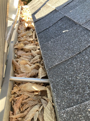 Gallery Image IMG_9371.jpeg