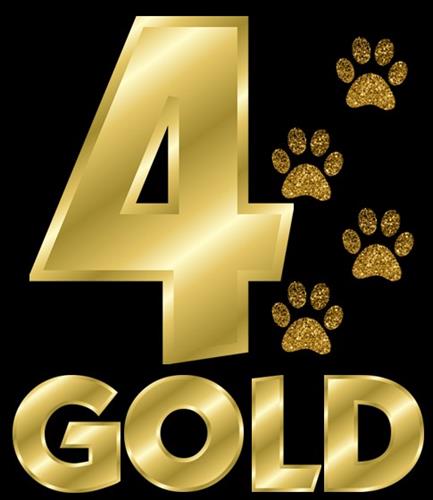 4Gold Logo 4Gold Logo