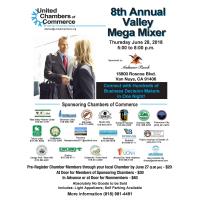 Annual MEGA MIXER - June 28th