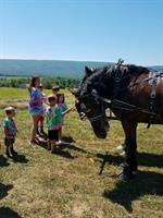 Water Wheel Carriages