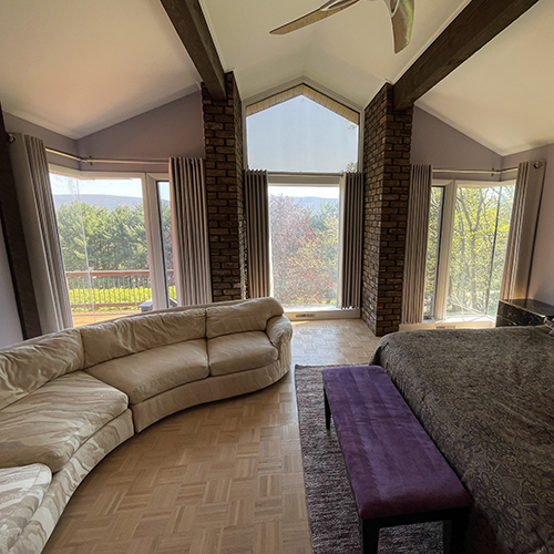 Draperies and Rug
