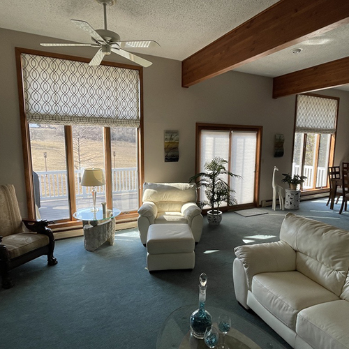 Roman Shades and Cellular Shades