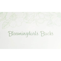 Bloomingdeals Resale Boutique - Mount Horeb