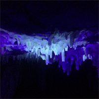 Cavern Blacklight Tour