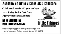 Academy of Little Vikings