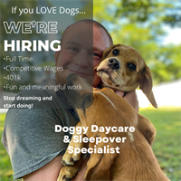 Doggy Daycare and Sleepover Specialist!