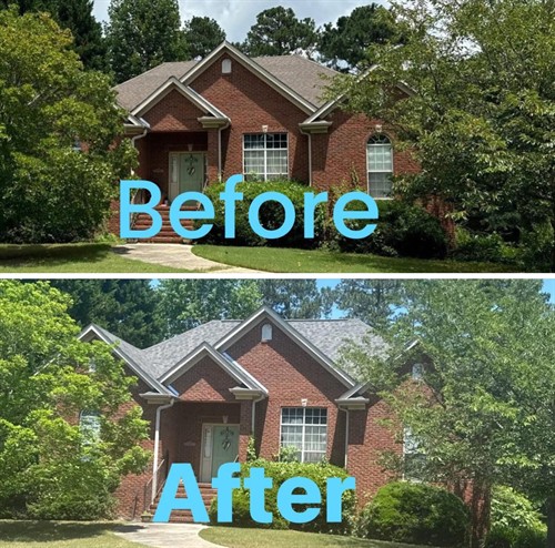 Gallery Image Molly_Before_and_After.jpg