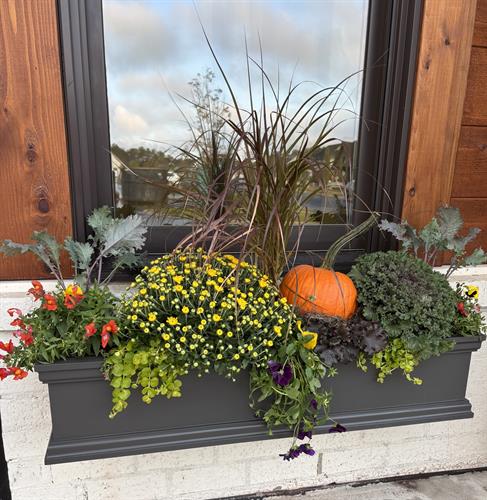 Fall Window Box Arrangment