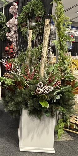 Winter Fresh Planter