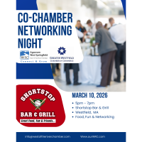 Networking Fun with Westfield Chamber