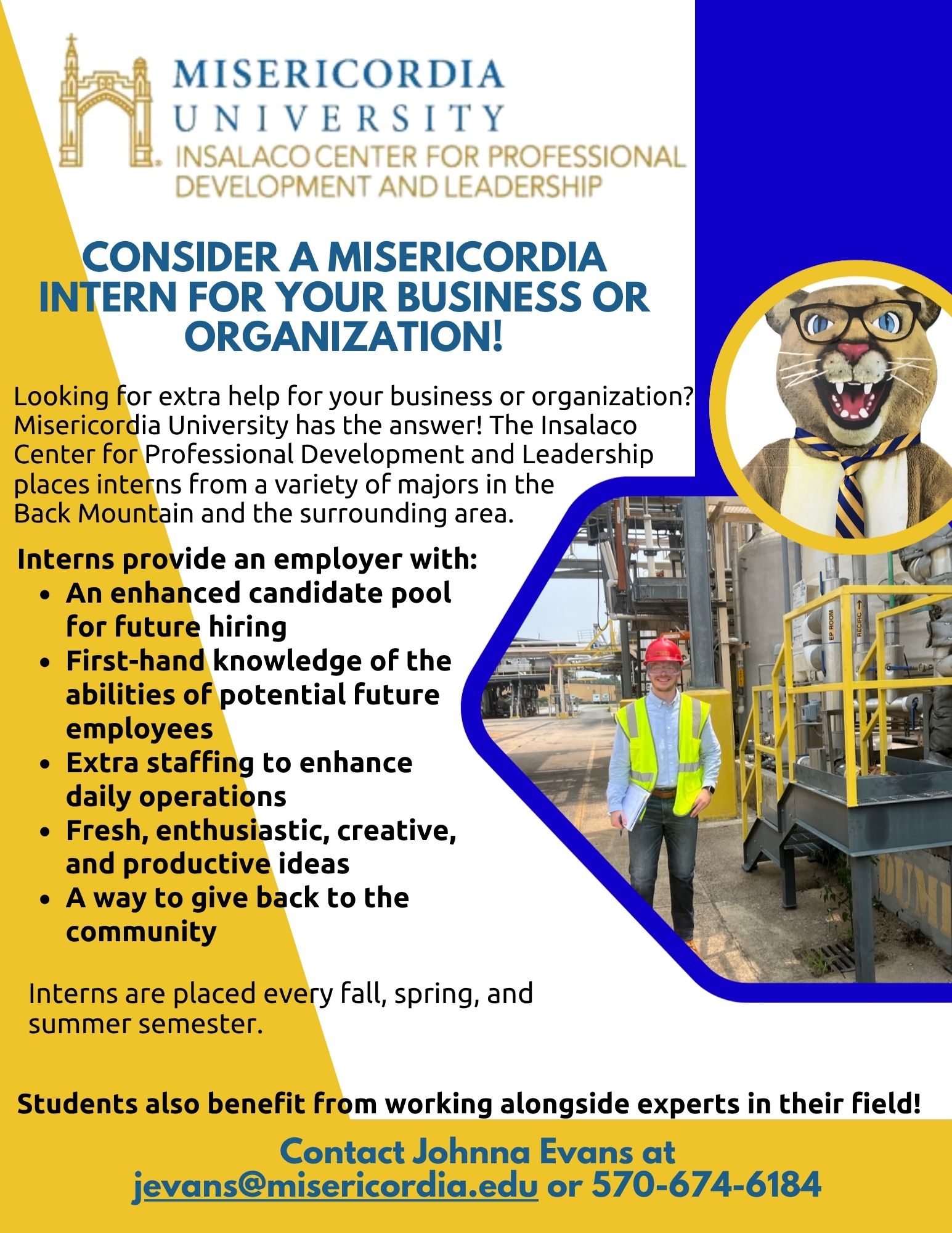 Image for Consider a Misericordia Intern for Your business or Organization