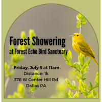 Forest Echo Preserve Day: Forest Showering