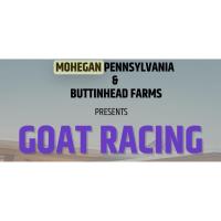 Goat Racing