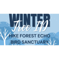 Forest Echo Bird Sanctuary: Winter Tree ID Hike