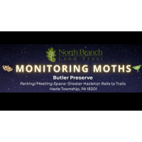 Monitoring Moths