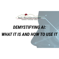 Back Mountain Chamber's Demystifying AI Session
