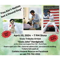 You Ain't Nothin but a Hound Dog - Elvis Tribute Artist