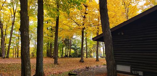 Fall at Butternut Lake Lodge