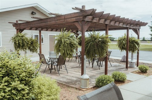One of our two pergolas