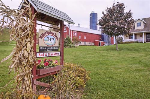 Experience Life on the Farm with a stay at Valley Springs Farm Bed & Breakfast