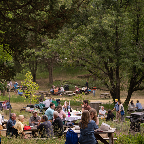 Patrons picnicking at American Players Theatre, 2024. Photo by Hannah Jo Anderson. 