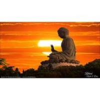 Zen Meditation Day
