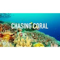 Movie Night: Chasing Coral