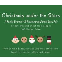 Christmas Under the Stars