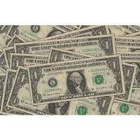 National Dollar Day
