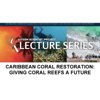 Caribbean Coral Restoration: Giving Coral Reefs a Future