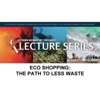 Lecture Series: Eco Shopping