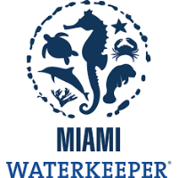 Kayak Cleanup with Miami Waterkeeper