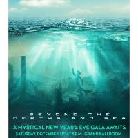 Ritzy New Year's Eve Gala