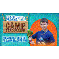 Spring Camp Seaquarium