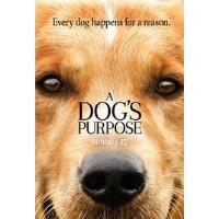 Movie Lover's Cinema: A Dog's Purpose