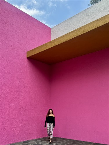 Gallery Image IMG_4498.jpeg