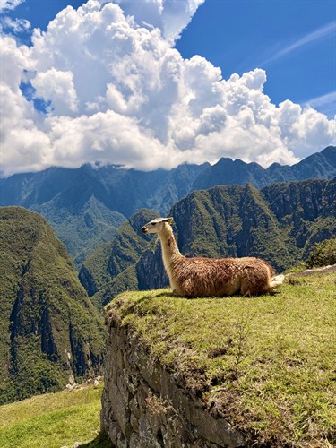 Gallery Image IMG_7823.jpeg