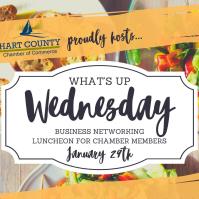 What’s Up Wednesday Networking Lunch