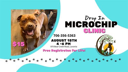 Annual Microchip Clinic