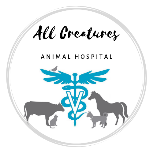 "All Creatures Animal Hospital" Logo Creation