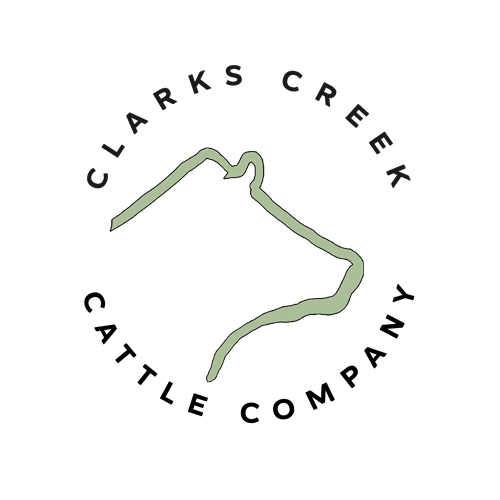 "Clarks Creek Cattle Company" Logo Creation