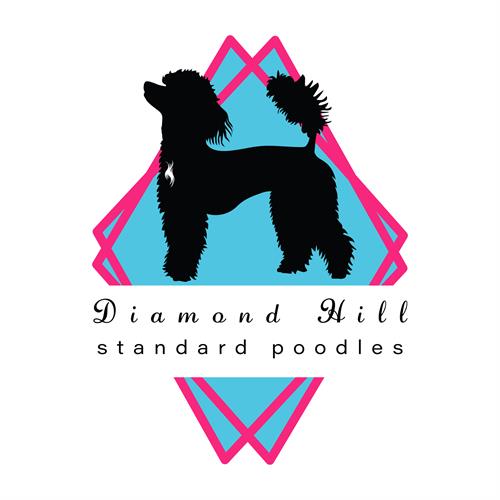 "Diamond Hill Standard Poodles" Logo Creation