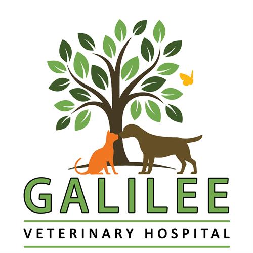 "Galilee Veterinary Hospital" Logo Creation