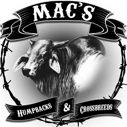 "Mac's Humpbacks & Crossbreeds" Logo Creation