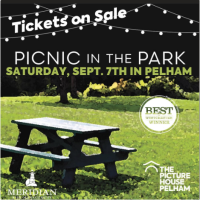 The Picture House: Picnic in the Park