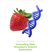 Hudson Park Children's Greenhouse: Unraveling DNA - Strawberry Science Exploration