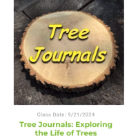 Hudson Park Children's Greenhouse: Tree Journals - Exploring the Life of Trees